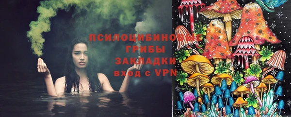 ECSTASY Ессентукская