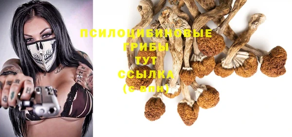 спиды Санкт-Петербург